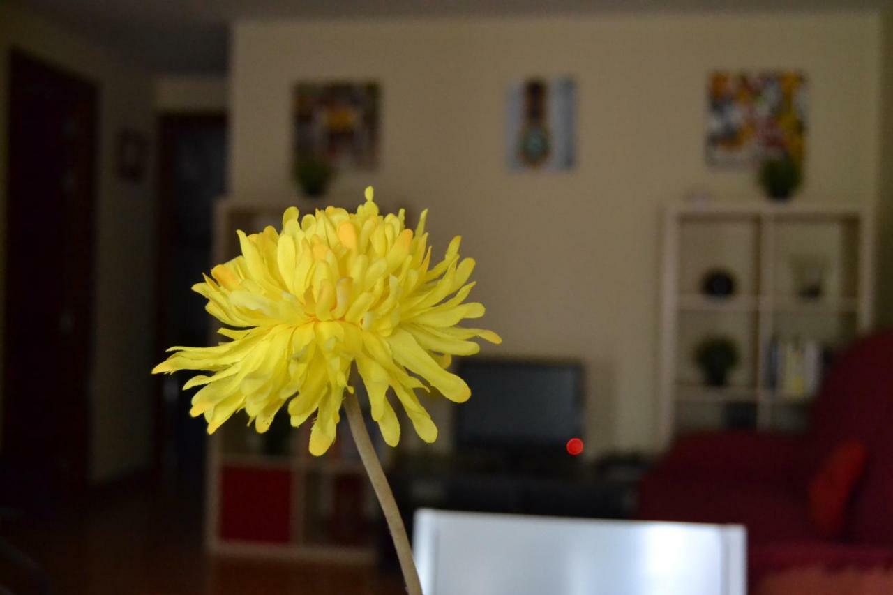 Apartamento Turistico Dct. Creus Guadalajara Eksteriør bilde